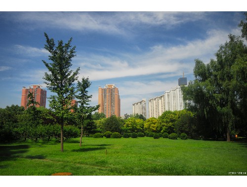 寿光城市绿化规划探讨