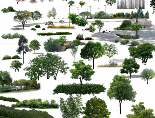松江市政绿化公司需要建造师吗现在