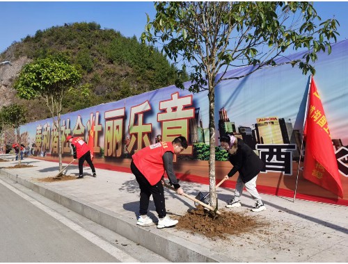丹江口绿化苗木花卉市场在哪里