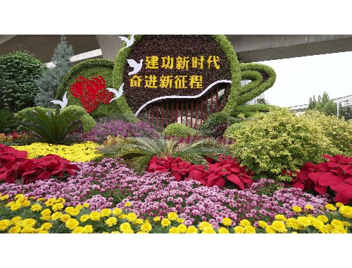 太仓绿化市政工程经营范围包括哪些
