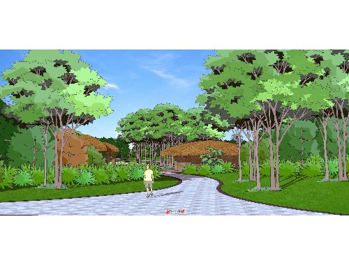 枣阳绿化苗木市场转移