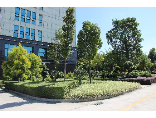 新乡绿化工程施工方案公示